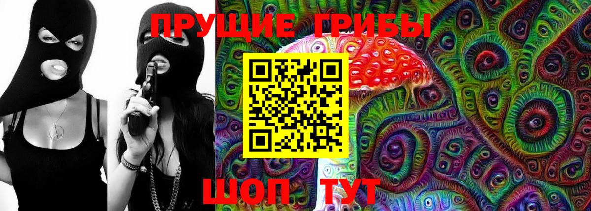 Камышин  Псилоцибиновые грибы Psilocybe  Вход с VPN 