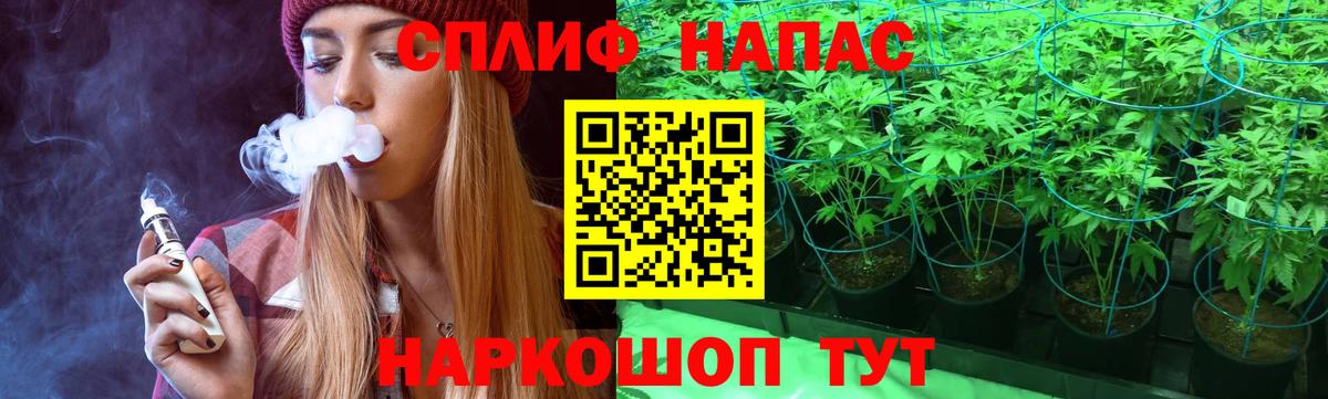 МАРИХУАНА THC 21%  Марихуана THC 21%  Камышин  Вход с VPN  Бошки марихуана планчик  Бошки Шишки SATIVA & INDICA 