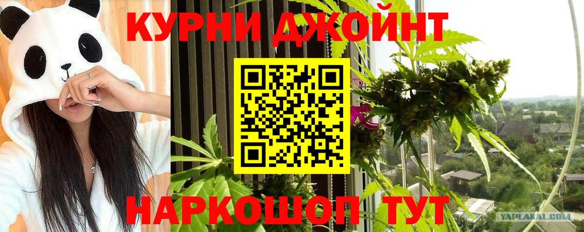 Бошки Шишки тримм Камышин